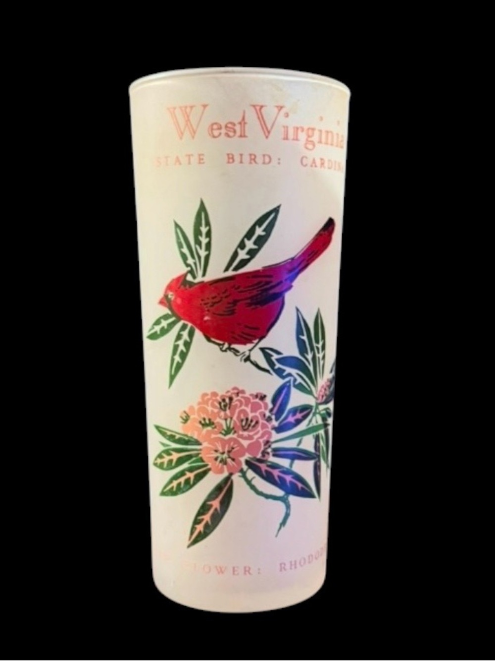 Vintage~1950s~West Virginia Souvenir Glass~Bird Cardinal & Flower Rhododendron